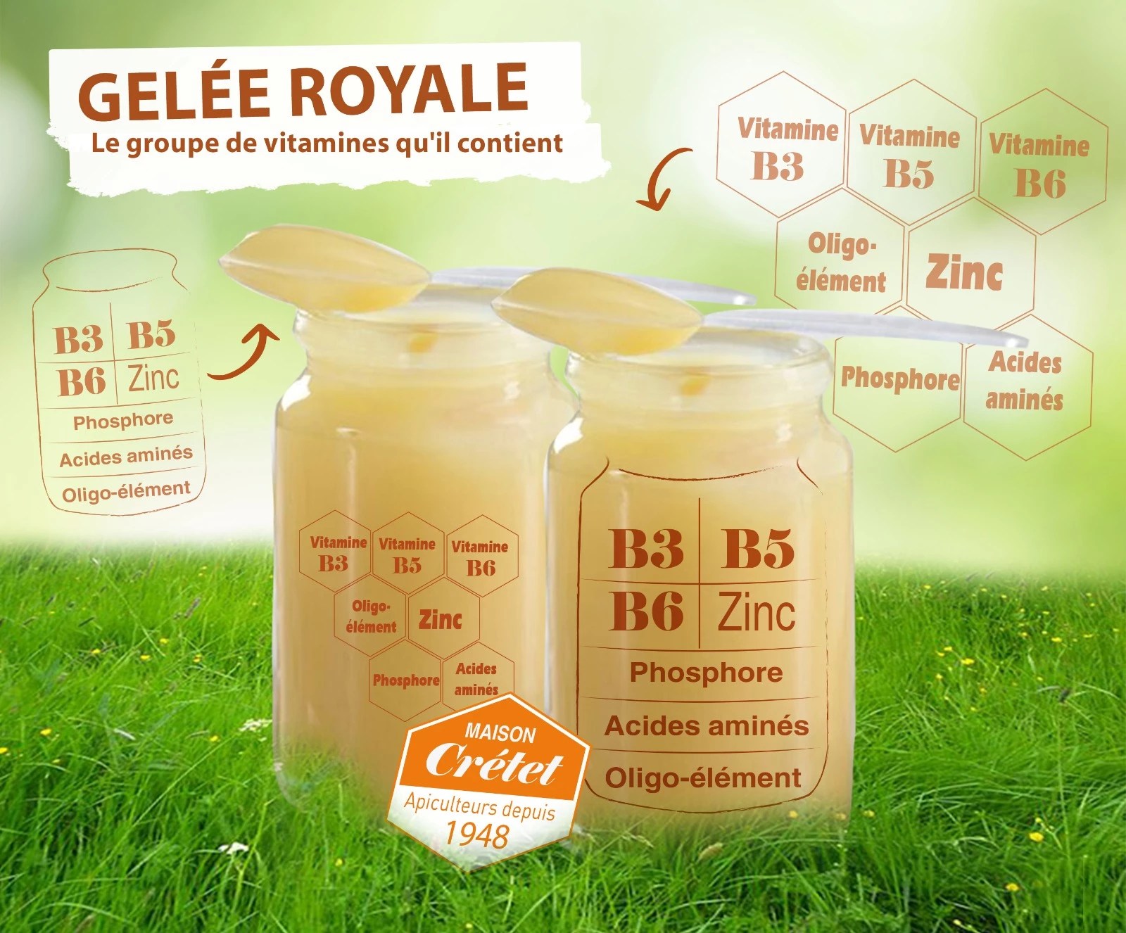 Gelée Royale adoucie à l'Orange Enrichi en Vitamine C pot 21gr